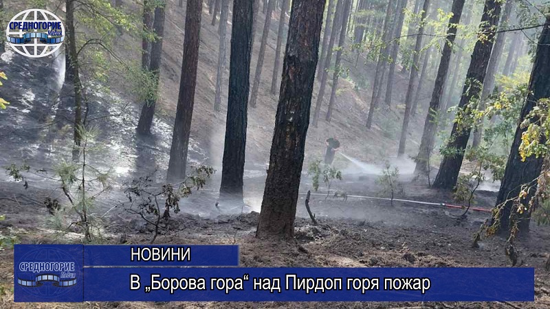 В „Борова гора“ над Пирдоп горя пожар